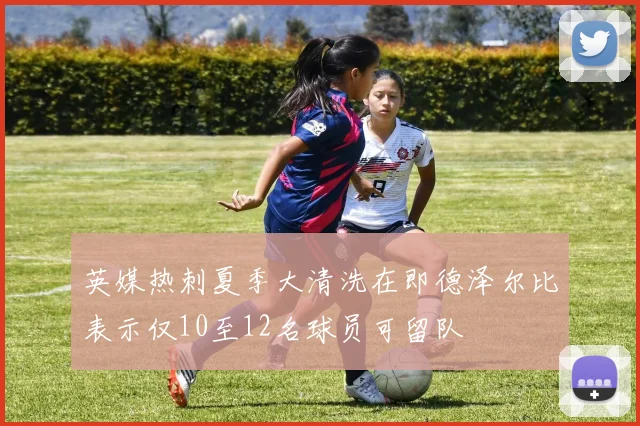 英媒热刺夏季大清洗在即德泽尔比表示仅10至12名球员可留队