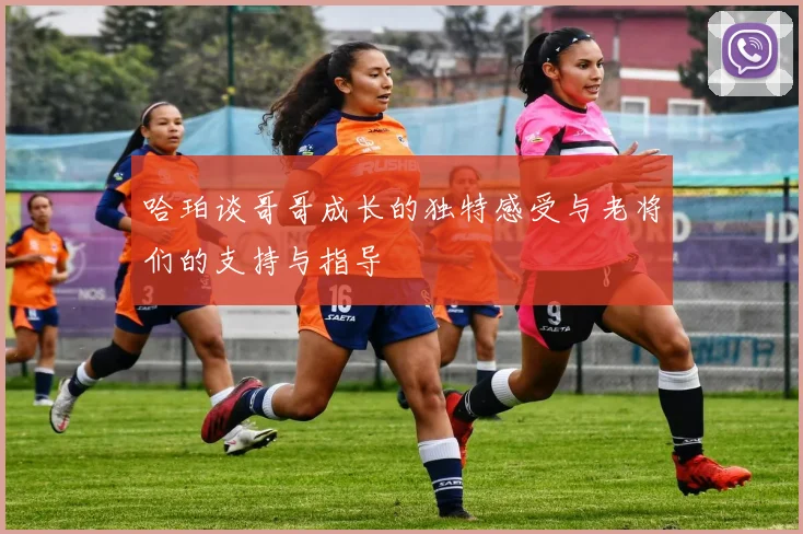 哈珀谈哥哥成长的独特感受与老将们的支持与指导
